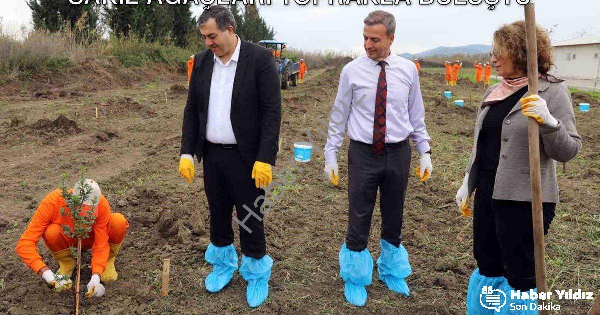 "Dalaman Cezaevi'nde Tarımsal Atılım: Sakız Ağaçları Toprakla Buluştu" başlıklı haber için fotoreali
