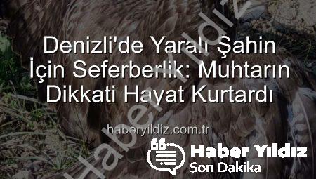 Denizli’de Yaralı Şahin İçin Seferberlik: Muhtarın Dikkati Hayat Kurtardı