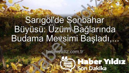 Sarıgöl’de Sonbahar Büyüsü: Üzüm Bağlarında Budama Mevsimi Başladı, Manzara Nefes Kesiyor!