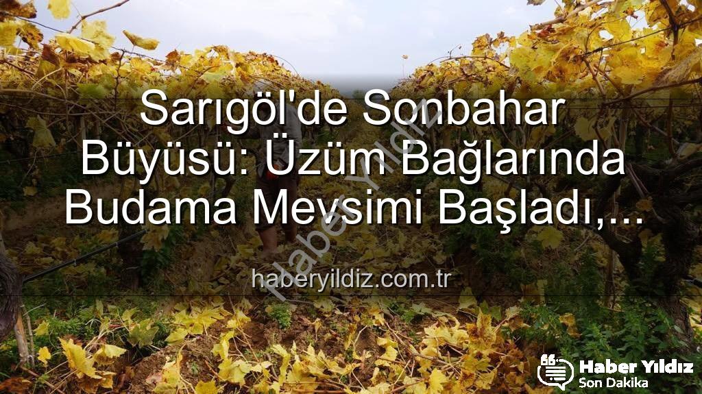 Sarıgöl budama - Sarıgöl'de Sonbahar Büyüsü: Üzüm Bağlarında Budama Mevsimi Başladı, Manzara Nefes Kesiyor!