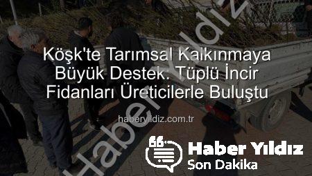 Köşk’te Tarımsal Kalkınmaya Büyük Destek: Tüplü İncir Fidanları Üreticilerle Buluştu