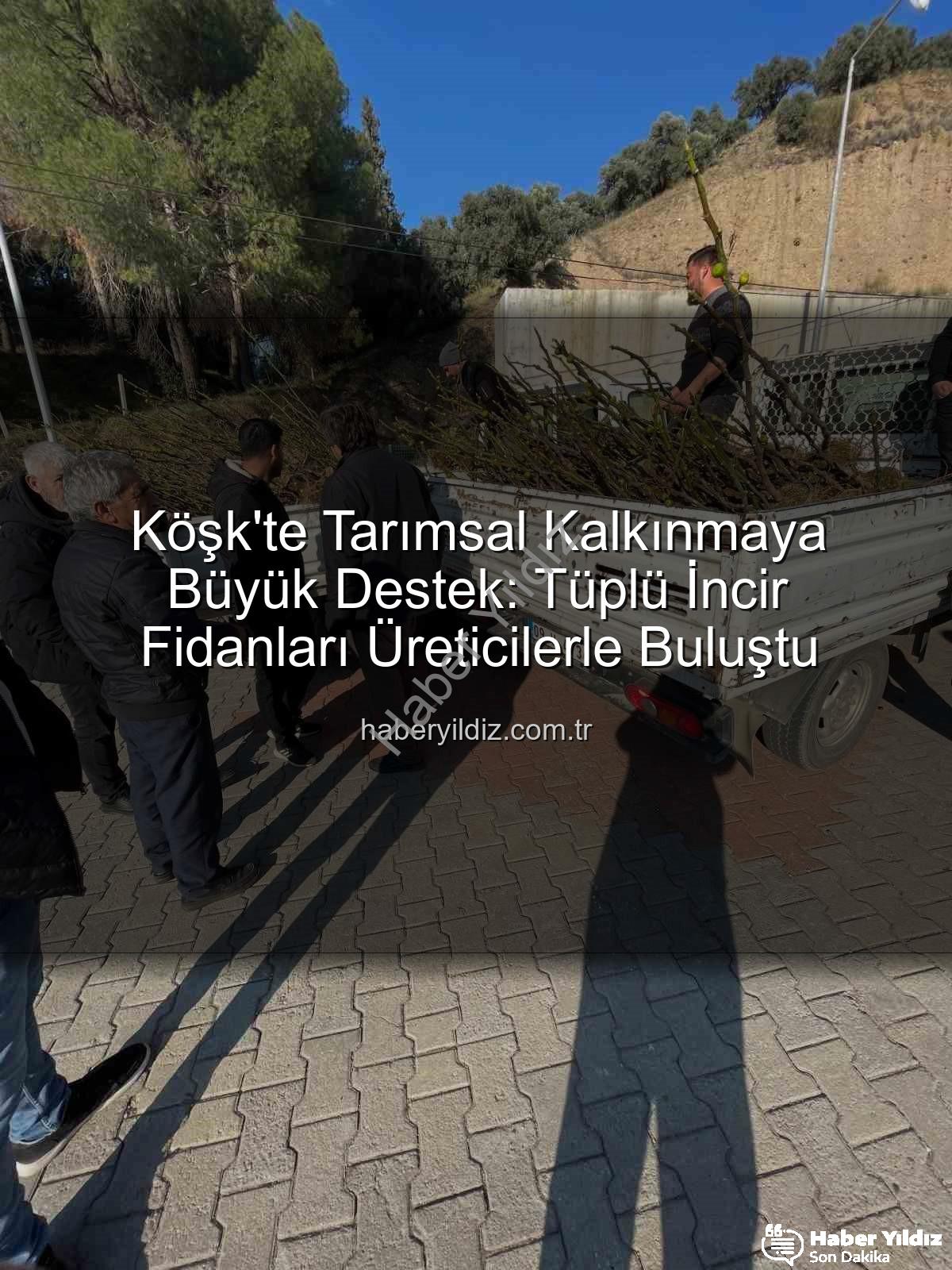 tüplü incir fidanı - Köşk'te Tarımsal Kalkınmaya Büyük Destek: Tüplü İncir Fidanları Üreticilerle Buluştu