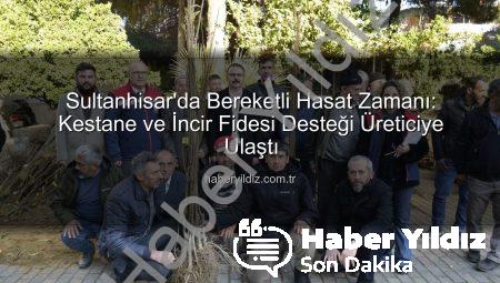 Sultanhisar’da Bereketli Hasat Zamanı: Kestane ve İncir Fidesi Desteği Üreticiye Ulaştı