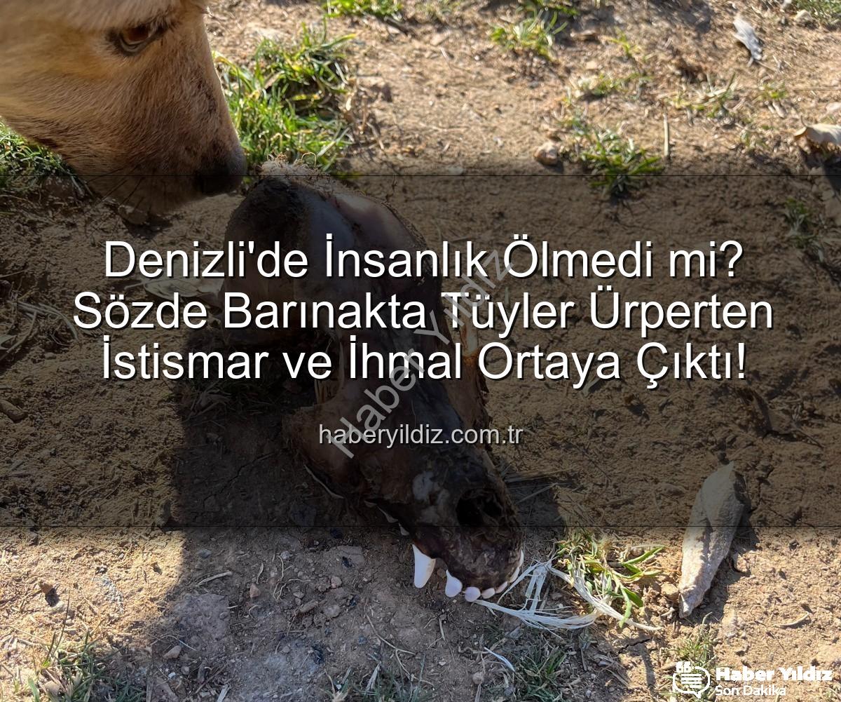 Denizli'de İnsanlık Ölmedi mi? Sözde Barınakta Tüyler Ürperten İstismar ve İhmal Ortaya Çıktı!