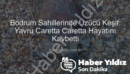 Bodrum Sahillerinde Üzücü Keşif: Yavru Caretta Caretta Hayatını Kaybetti