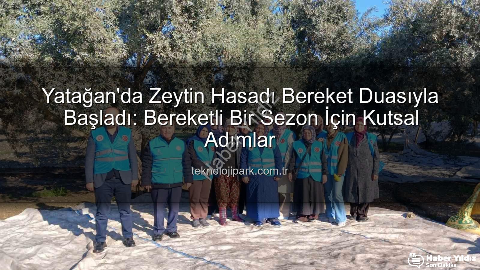 Yatağan zeytin hasadı - Yatağan'da Zeytin Bereketi Dualarla Başladı: Bereket Duası ve Hasat Coşkusu Haberyildiz.com.tr'de!