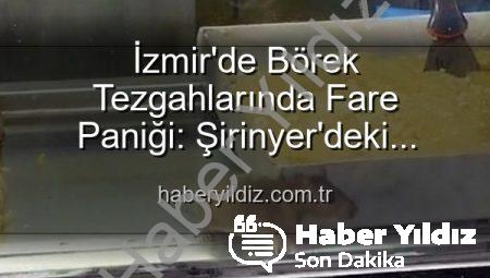 İzmir’de Börek Tezgahlarında Fare Paniği: Şirinyer’deki İşletmeye Mühür Vuruldu!