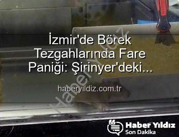 Börek tezgahlarında fare - İzmir'de Börek Tezgahlarında Fare Paniği: Şirinyer'deki İşletmeye Mühür Vuruldu!