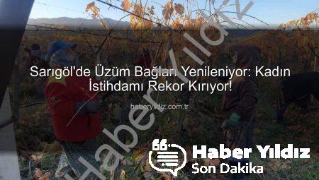 Sarıgöl’de Üzüm Bağları Yenileniyor: Kadın İstihdamı Rekor Kırıyor!