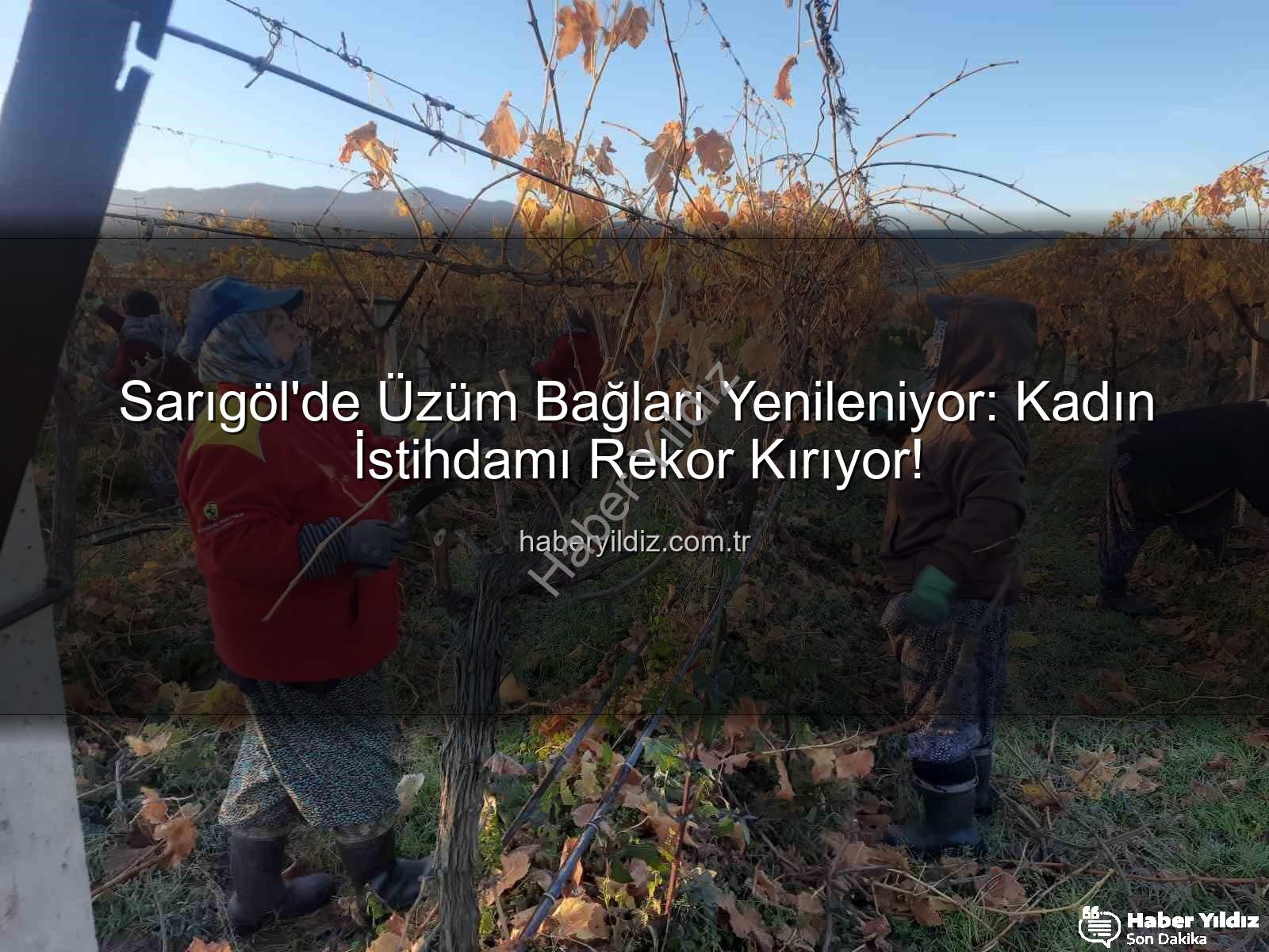 kadın istihdamı - Sarıgöl'de Üzüm Bağları Yenileniyor: Kadın İstihdamı Rekor Kırıyor!
