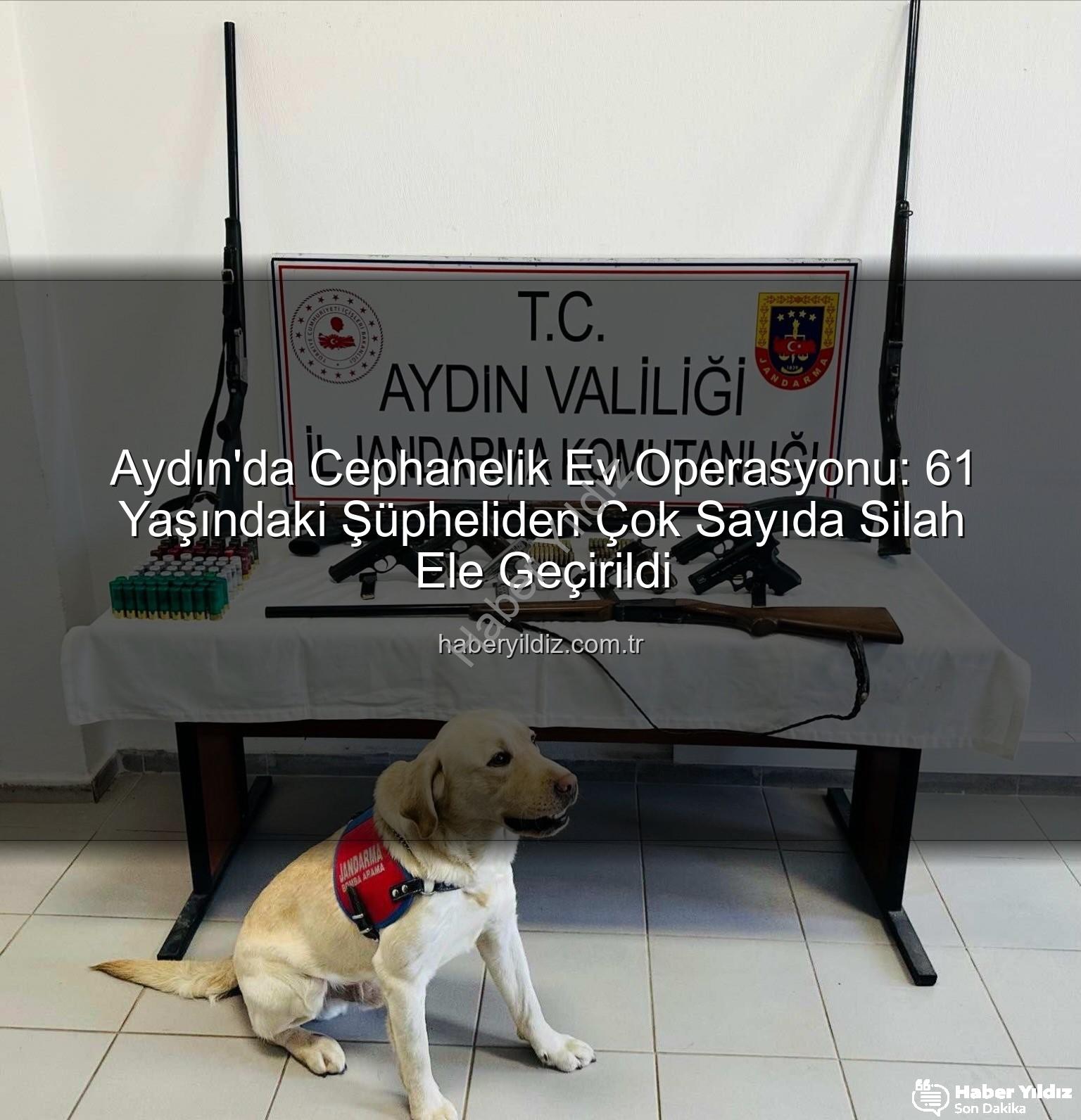 ruhsatsız silah - Aydın'da Cephanelik Ev Operasyonu: 61 Yaşındaki Şüpheliden Çok Sayıda Silah Ele Geçirildi