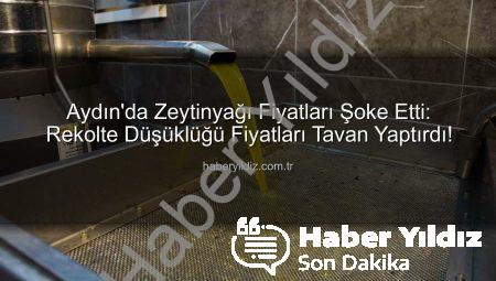 Aydın’da Zeytinyağı Fiyatları Şoke Etti: Rekolte Düşüklüğü Fiyatları Tavan Yaptırdı!