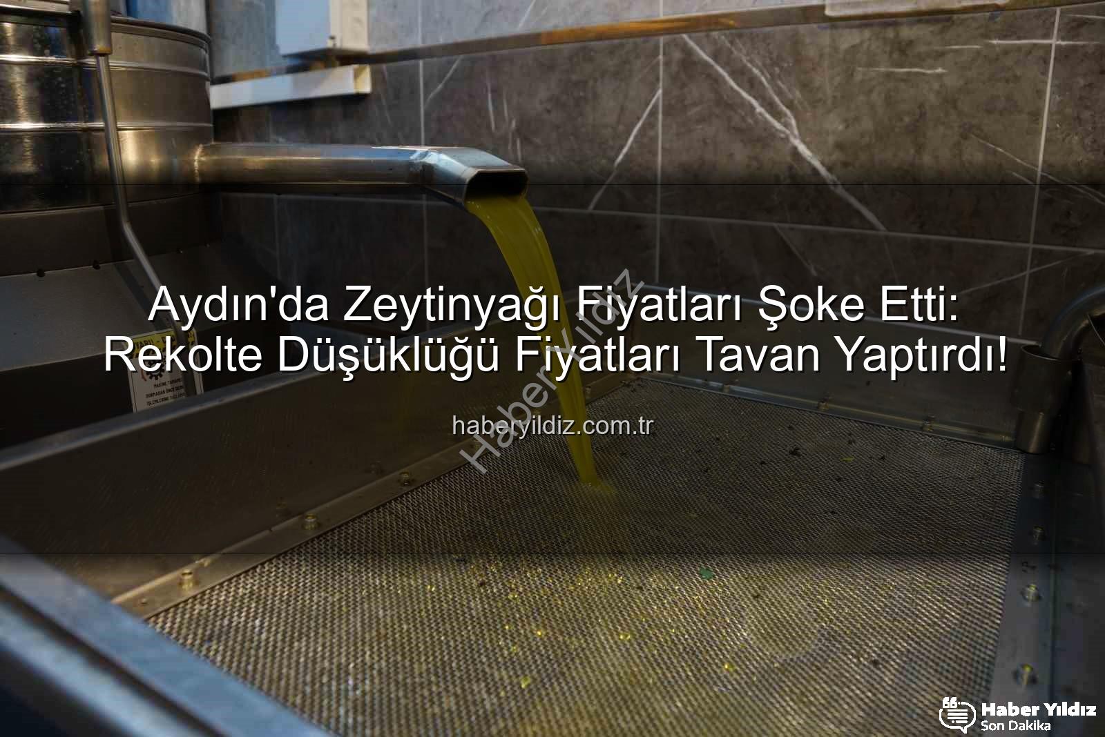 zeytinyağı fiyatları - Aydın'da Zeytinyağı Fiyatları Şoke Etti: Rekolte Düşüklüğü Fiyatları Tavan Yaptırdı!