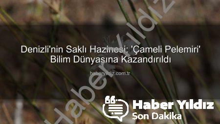Denizli’nin Saklı Hazinesi: ‘Çameli Pelemiri’ Bilim Dünyasına Kazandırıldı