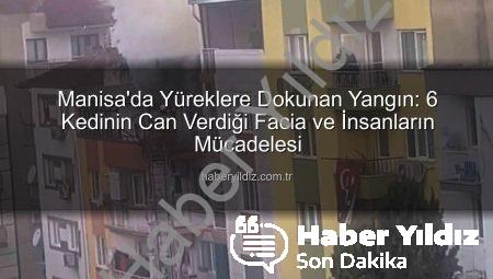 Manisa’da Yüreklere Dokunan Yangın: 6 Kedinin Can Verdiği Facia ve İnsanların Mücadelesi