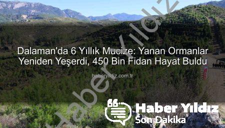 Dalaman’da 6 Yıllık Mucize: Yanan Ormanlar Yeniden Yeşerdi, 450 Bin Fidan Hayat Buldu