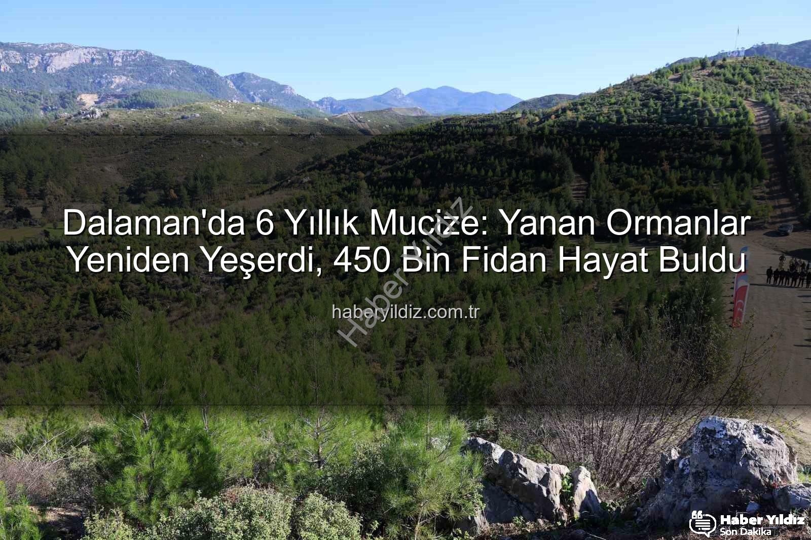 yaban hayatı - Dalaman'da 6 Yıllık Mucize: Yanan Ormanlar Yeniden Yeşerdi, 450 Bin Fidan Hayat Buldu