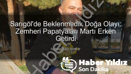Sarıgöl’de Beklenmedik Doğa Olayı: Zemheri Papatyaları Martı Erken Getirdi