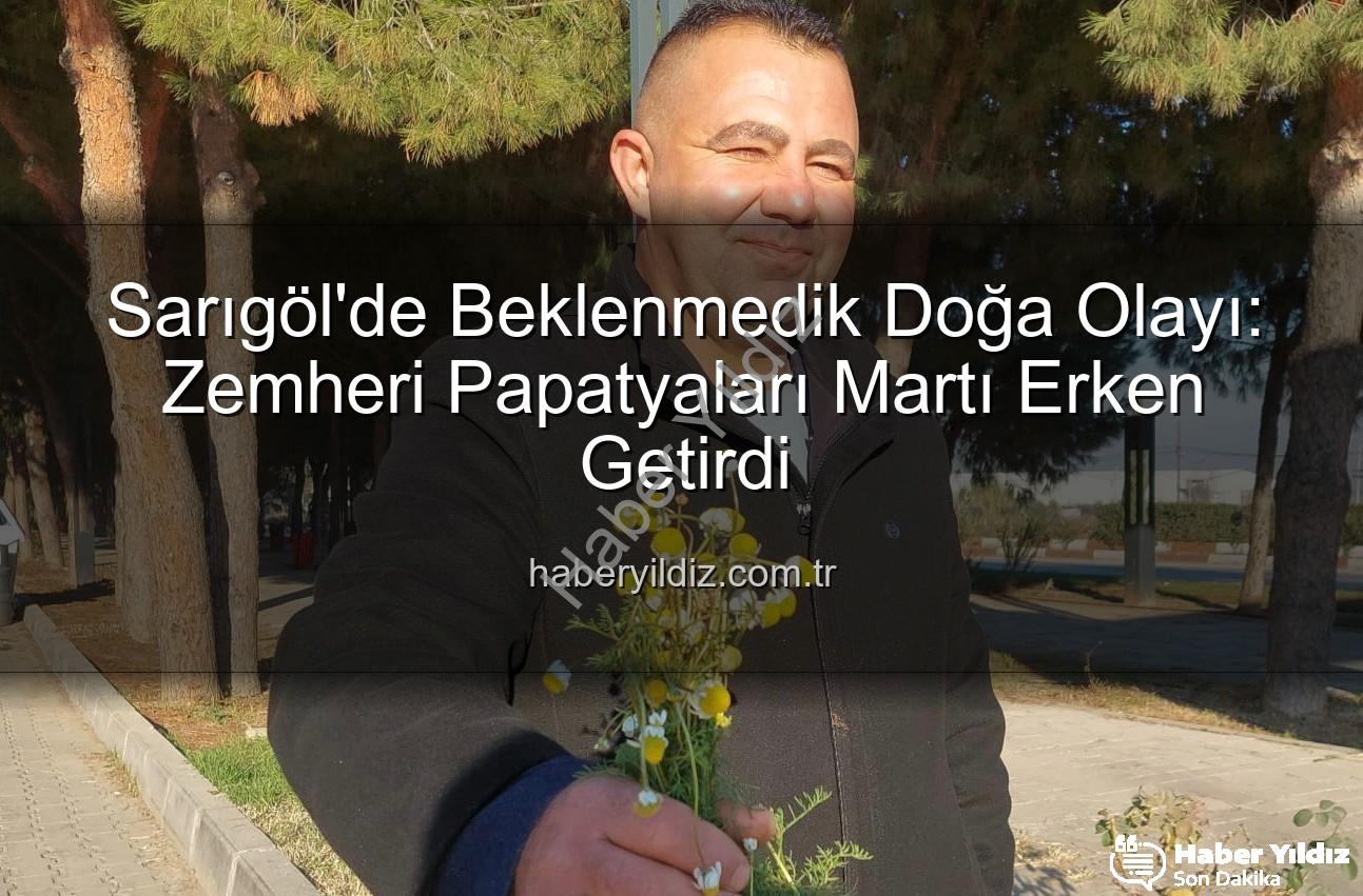 zemheri papatyaları - Sarıgöl'de Beklenmedik Doğa Olayı: Zemheri Papatyaları Martı Erken Getirdi